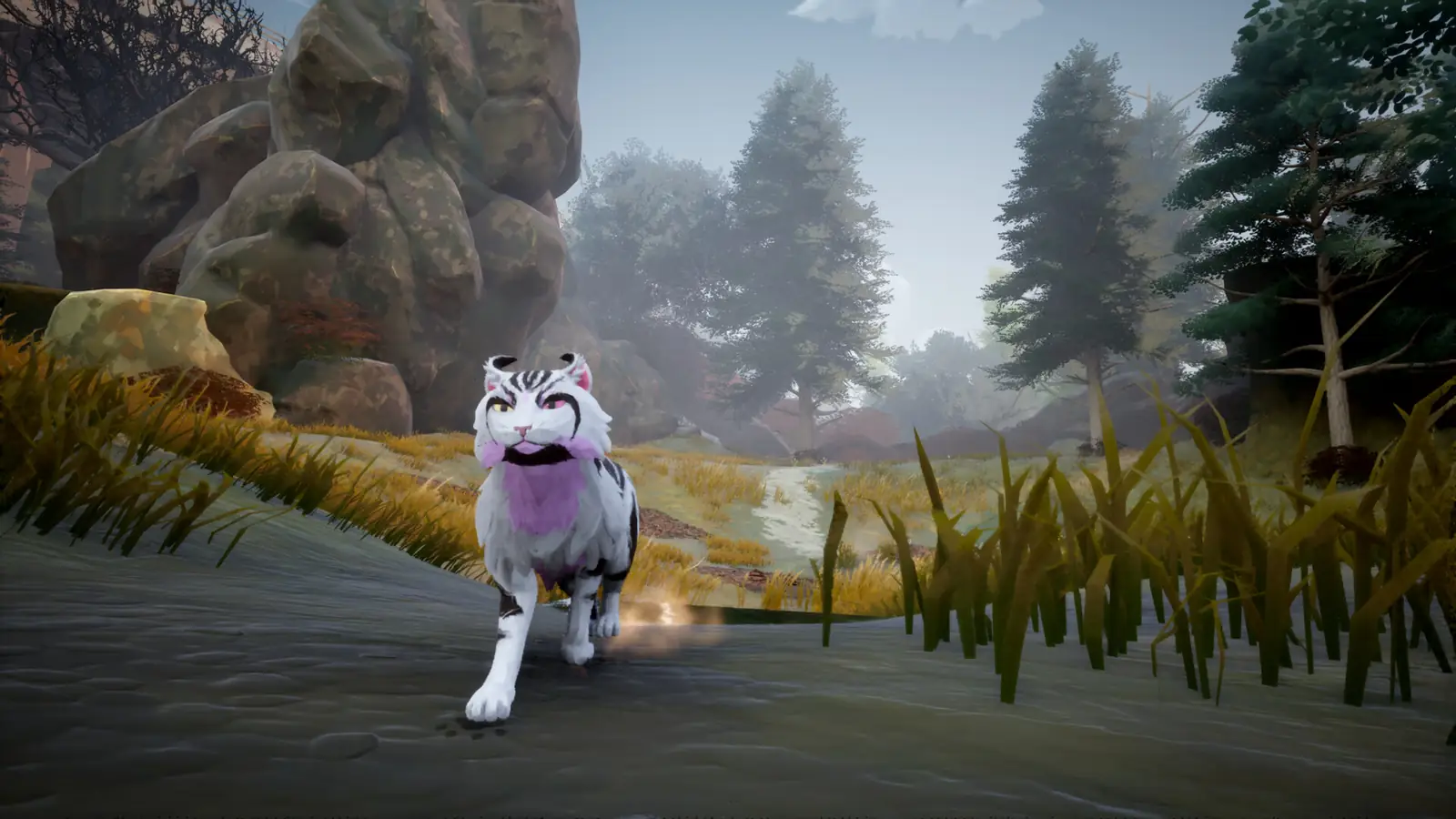 A cat standing among reeds in a marsh
